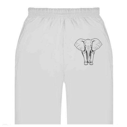 African elephant adult - elephant',