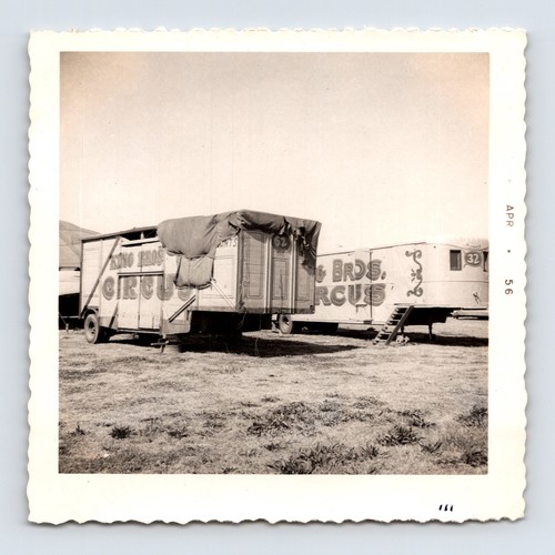 King bros circus 1950s - bros,