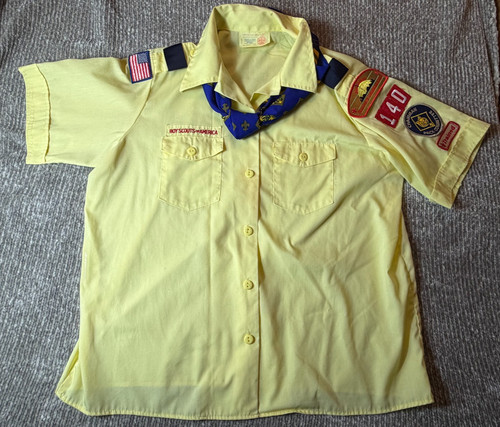 Boy scouts den leader - den,