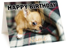 Personalised Chihuahua