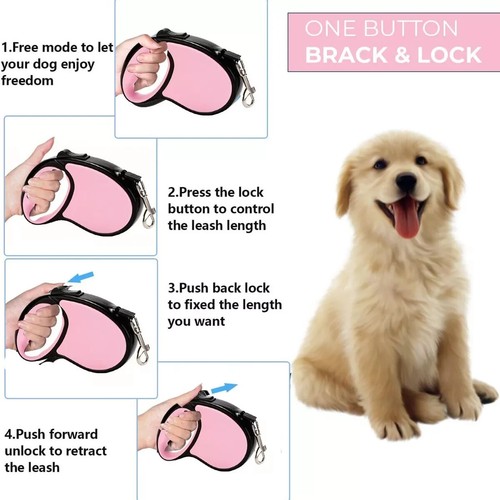 Retractable dog lead training - retractable,