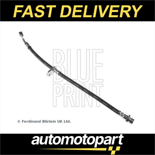 Blue print brake hose - blue, front