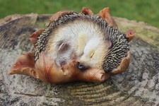 Baby Hedgehog in Leaf Highly