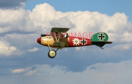 Photo aeroplane albatross - photo,