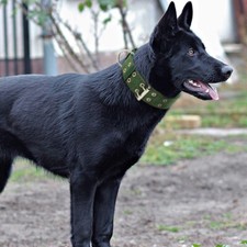 Large Breed Nylon Heavy Duty Large Dog Collar Neck Buckl Collars Adjustable XL L