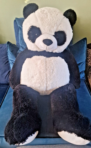 Giant panda bear plush - giant,