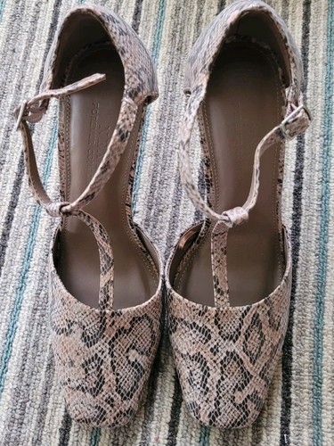 Next size shoes bar animal - size, t