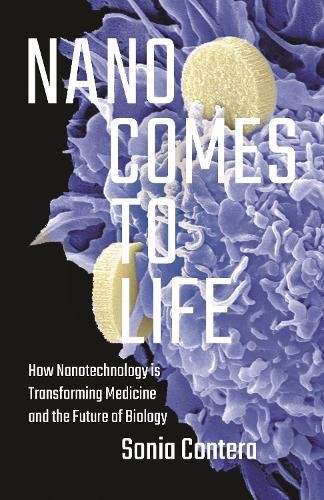 Nano comes life - nano, to