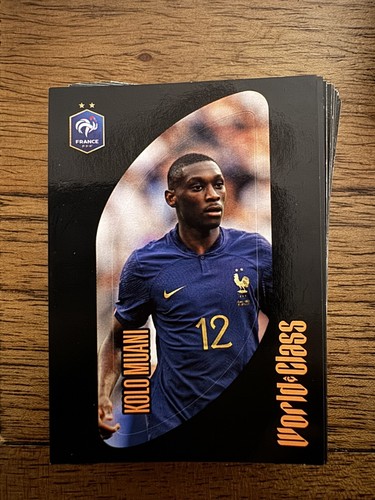 Panini fifa world class - world,