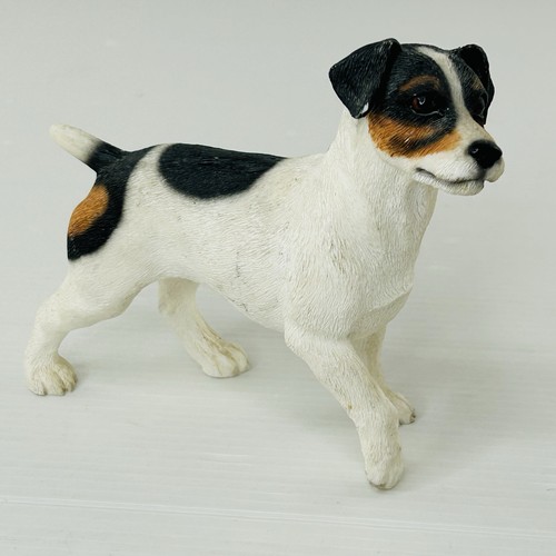 Leonardo jack russell terrier - jack,