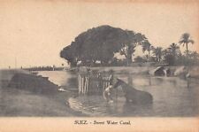 POSTCARD - EGYPT - SUEZ -  SWEET WATER CANAL - MAN & HORSE