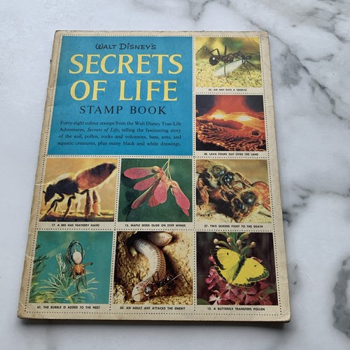 Walt disney secrets - disney's, of