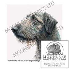 Irish Wolfhound Looking Left