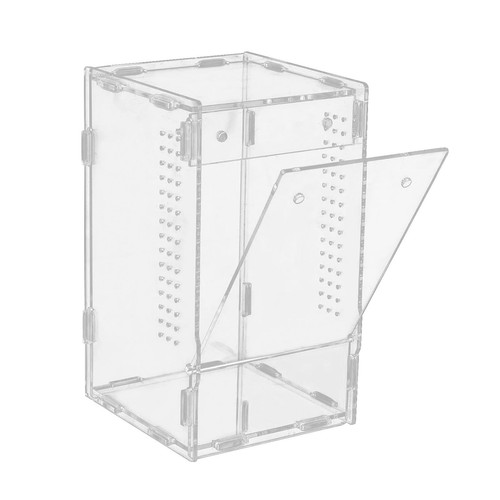 Jumping spider enclosure - jumping,