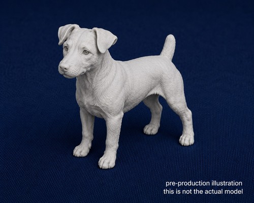 Scale jack russell dog - scale,