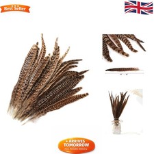 20 Natural Pheasant Tail