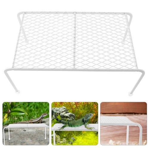 Bearded dragon accessories - bearded,