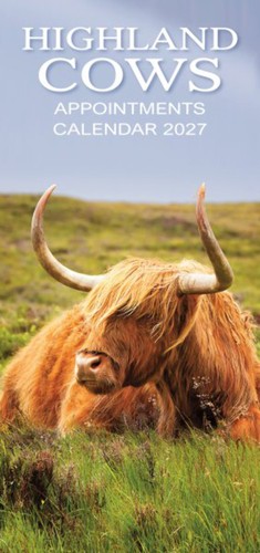 2027 calendar highland - highland, cows