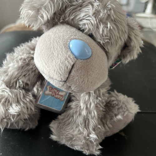Tatty puppy you soft - to,