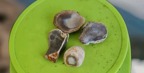 500gm natural flint rough rock - natural,