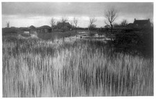 Rushy shore,reed bed,Broads,boats,sailing,transportation,Norfolk,England,1886