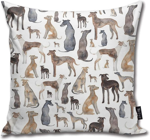 Greyhounds wippets and lurcher - greyhounds,
