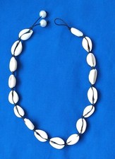 Natural Cowrie Sea Shell