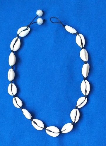 Natural cowrie sea - natural,