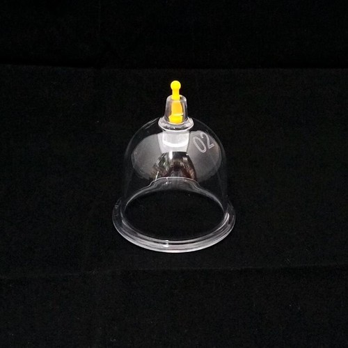 100 premium quality - b1,