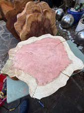 Huge Redwood Sequoia Live Edge Cookie Slab Tree Slice Semi Seasoned Ref:S4