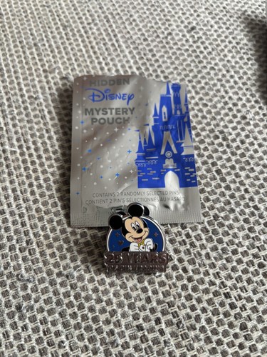 2025 walt disney world - 2025,
