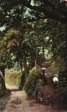 Vintage Postcard Cockington