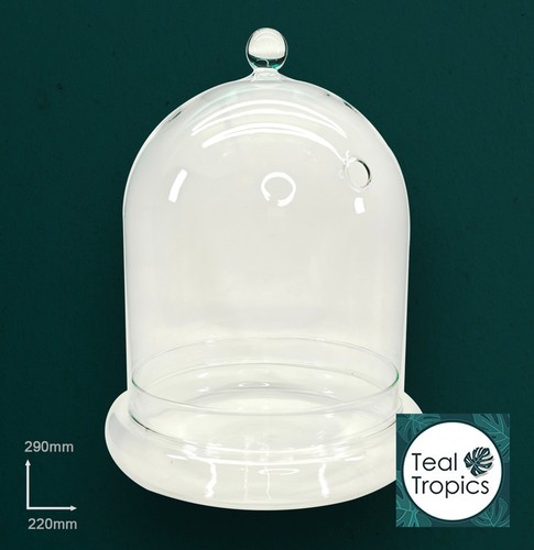 Clear terrarium glass jar - clear,