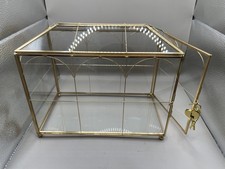 Plant Terrarium Succulent