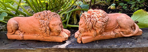 Pair stone canova - pair,