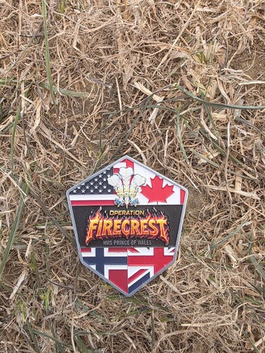 Royal navy coin - navy, firecrest.