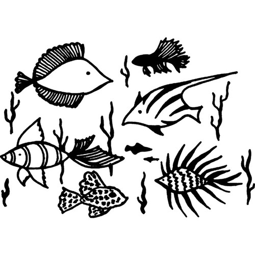Exotic fish unmounted rubber - 'exotic, fish'