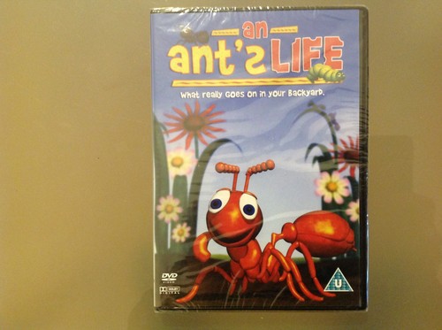 Ant life dvd - ant's, new