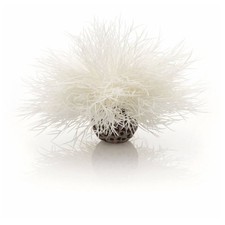 BIORB OASE WHITE SEA LILY