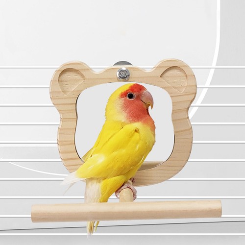 Wooden bird mirror - bird, mirror,
