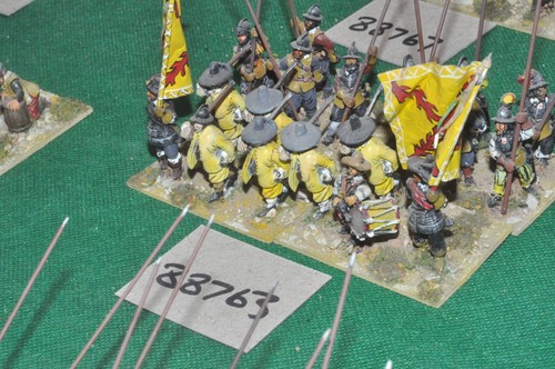 28mm ecw french - 28mm, regt