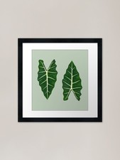 Alocasia African Mask Framed