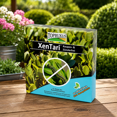 Topbuxus xentari box - topbuxus,