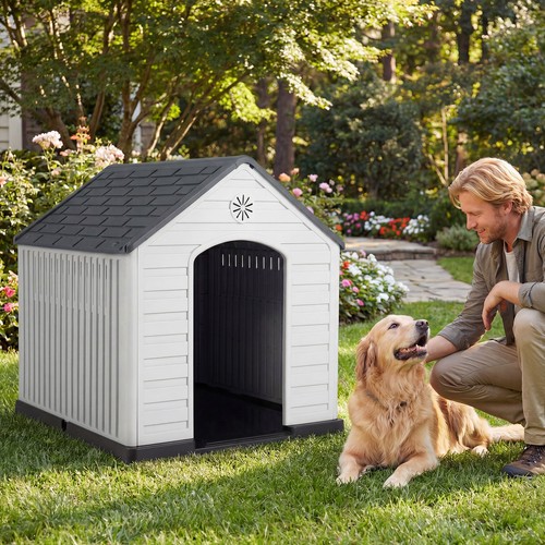 Large plastic dog - large, indoor