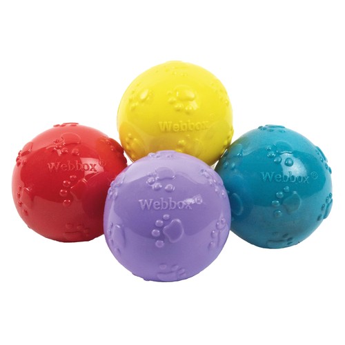 Webbox fun squeaky - fun, balls