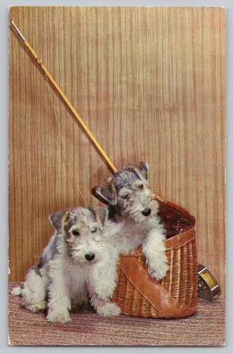 Postcard waiting for - waiting, wire