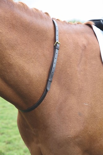 Shires blenheim leather neck - blenheim,