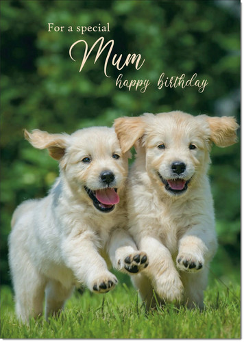 Doodlecards mum birthday card - doodlecards,