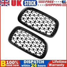 Pair Front Kidney Grill Shiny