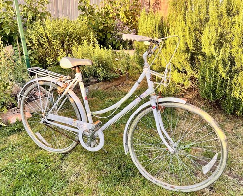 Raleigh vintage women - raleigh, women's